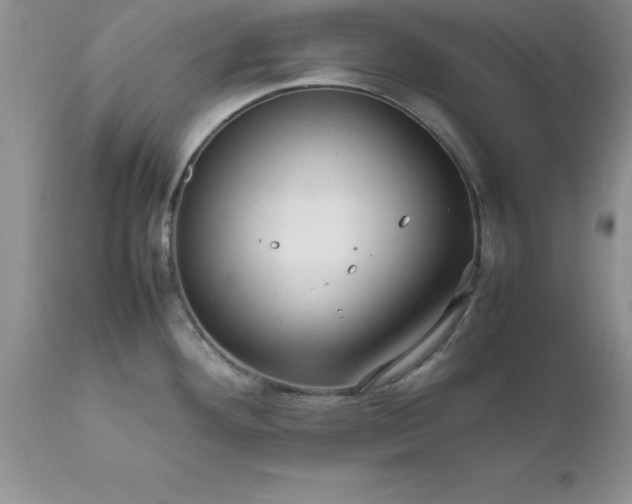 X0000111811292200907301224