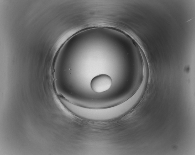 X0000111811293200907301224