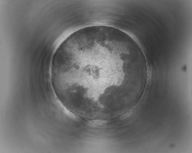 X0000111811294200907301224