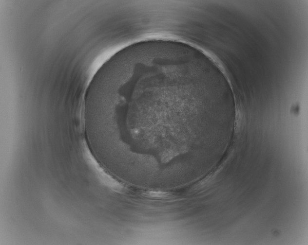 X0000111811295200907301224