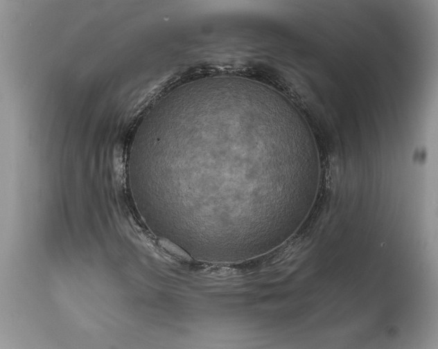 X0000111811298200907301223