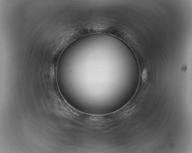 X0000111811299200907301223