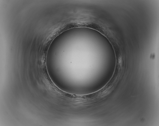 X0000111811300200907301224