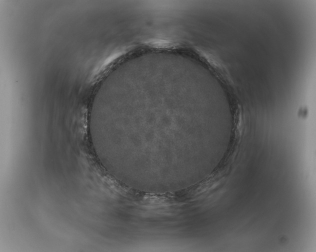 X0000111811301200907301224