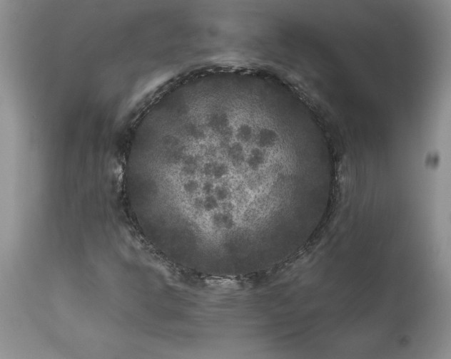 X0000111811302200907301224