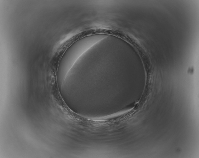 X0000111811303200907301224