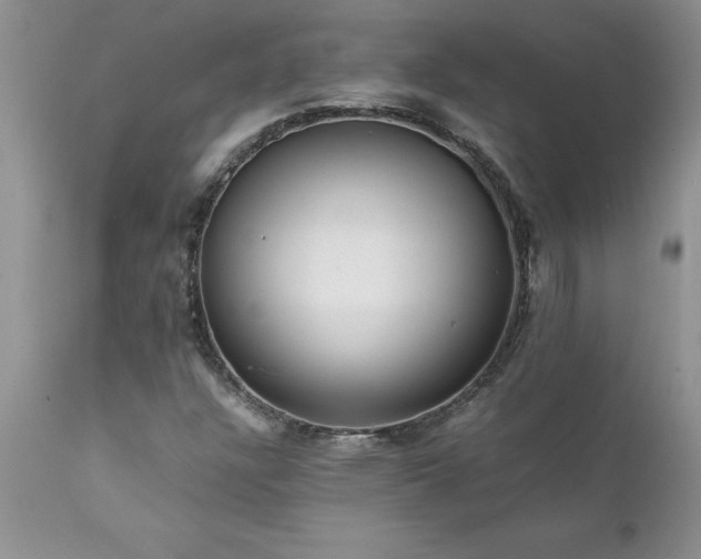 X0000111811304200907301224