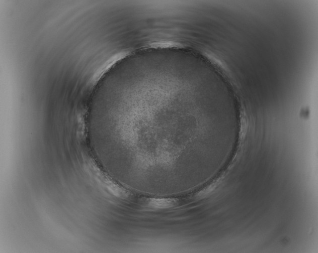 X0000111811305200907301224