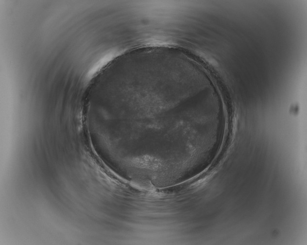 X0000111811306200907301224