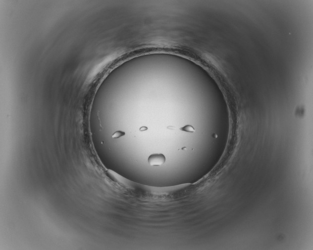X0000111811307200907301224