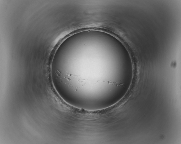 X0000111811308200907301224