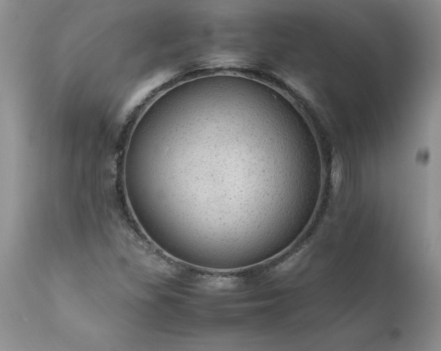 X0000111811309200907301224