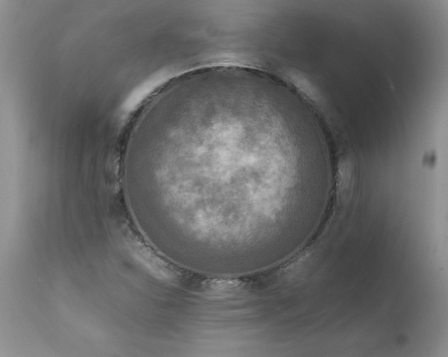X0000111811310200907301224