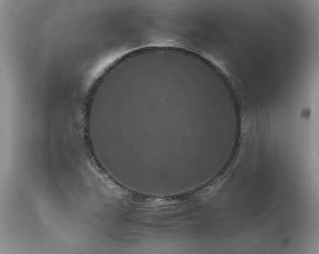 X0000111811311200907301224
