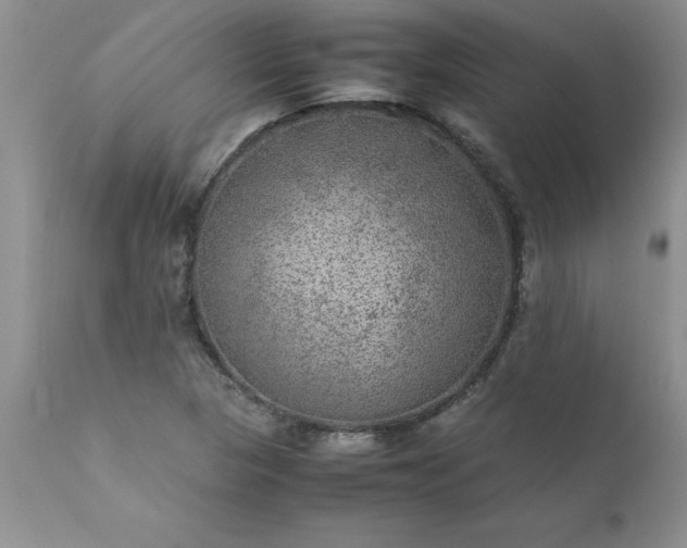 X0000111811313200907301224