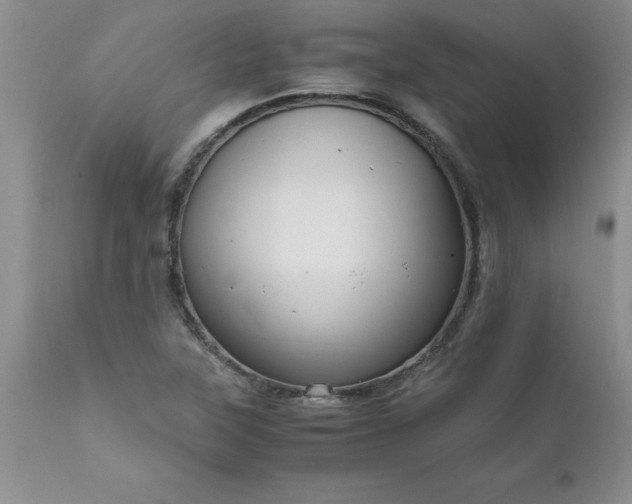 X0000111811315200907301224