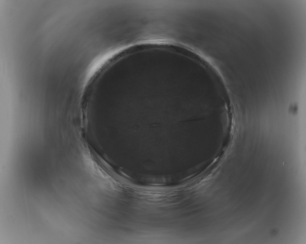 X0000111811319200907301224