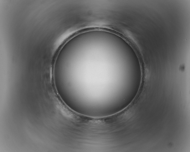 X0000111811320200907301224