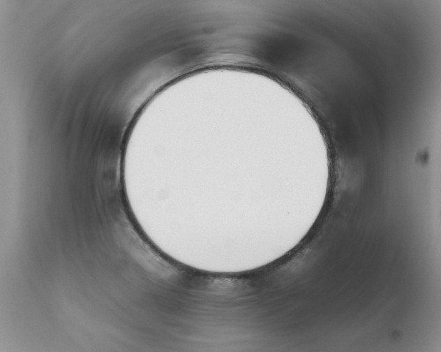 X0000111811322200907301224