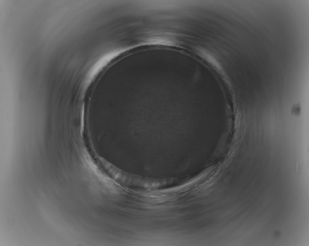X0000111811323200907301224
