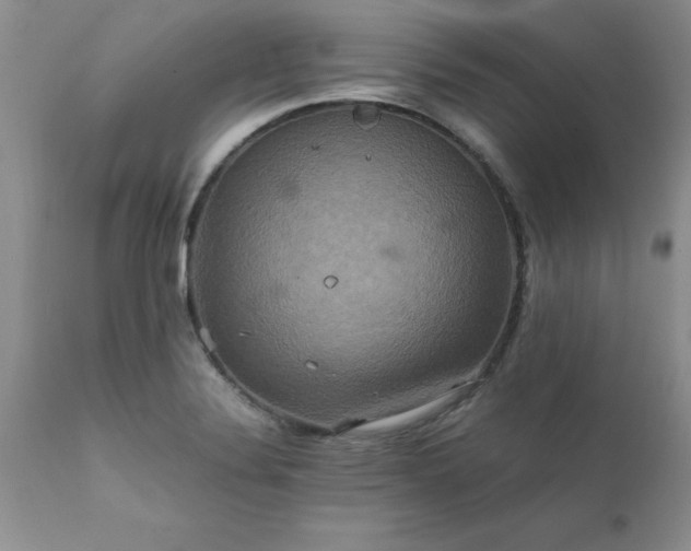 X0000111811324200907301224
