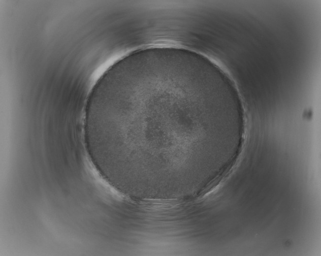 X0000111811325200907301224