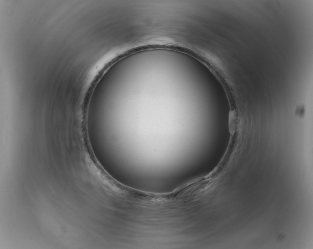 X0000111811326200907301224