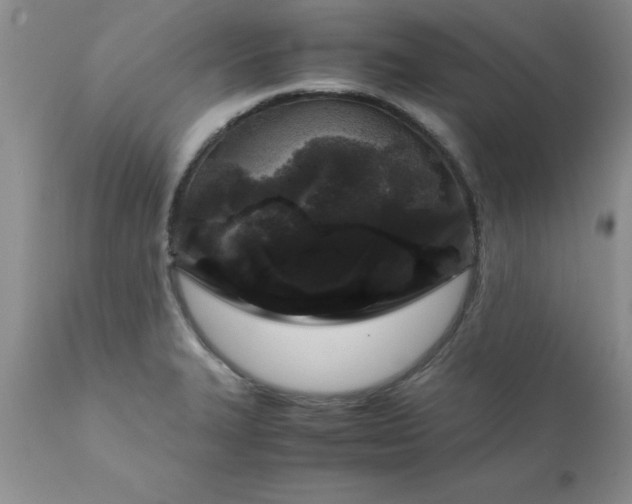 X0000111811327200907301224