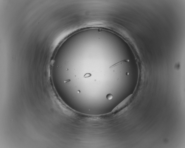 X0000111811328200907301224
