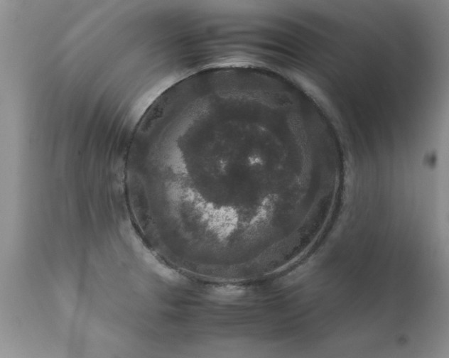 X0000111811329200907301224
