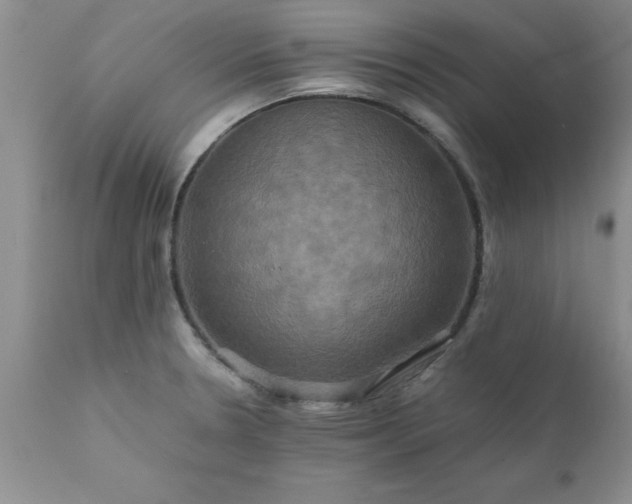 X0000111811330200907301224