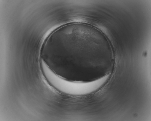 X0000111811331200907301224
