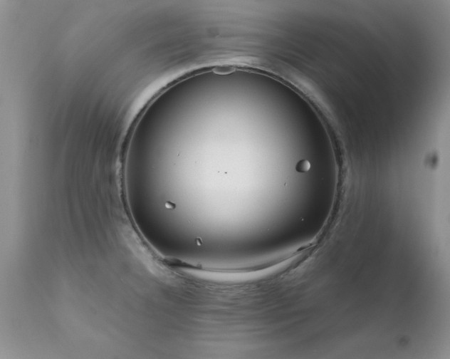 X0000111811332200907301224
