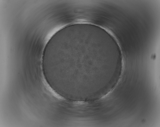 X0000111811333200907301224