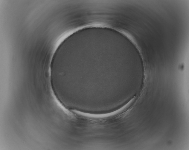 X0000111811335200907301224