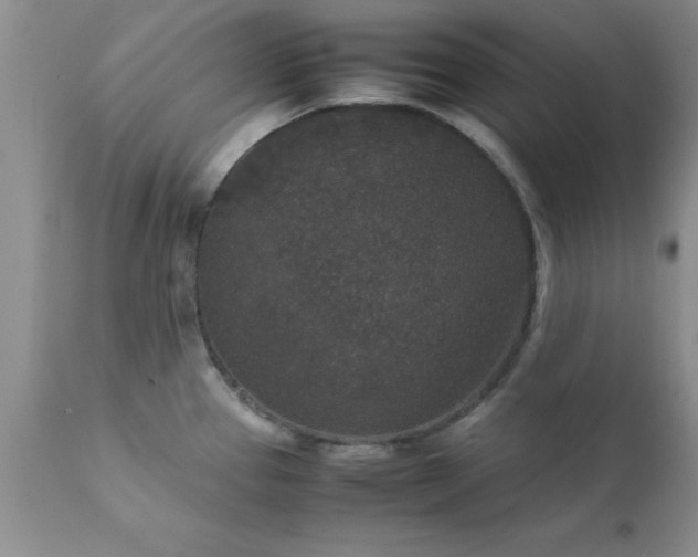 X0000111811337200907301224