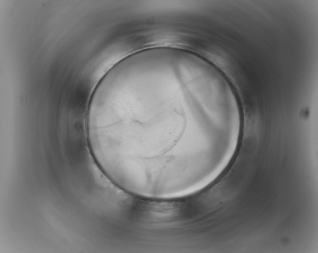 X0000111811338200907301224