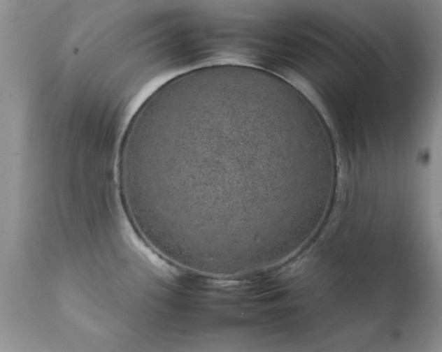 X0000111811339200907301224