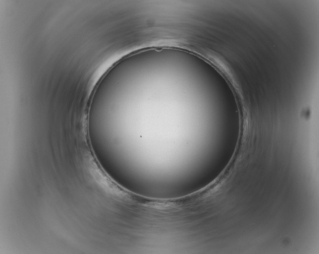 X0000111811340200907301224