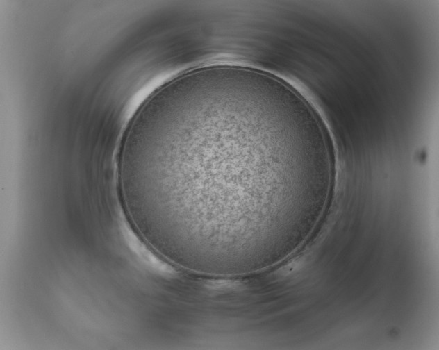 X0000111811341200907301224