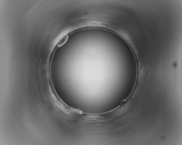 X0000111811342200907301224
