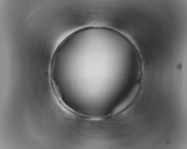 X0000111811343200907301224
