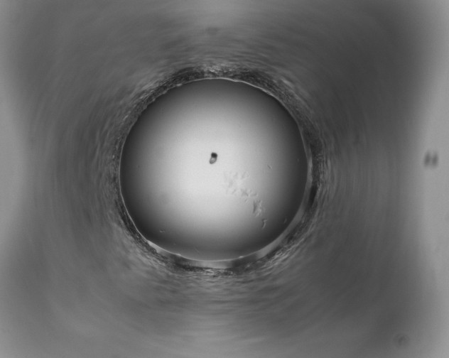 X0000111811345200907301223