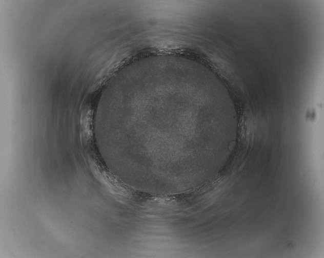 X0000111811346200907301223