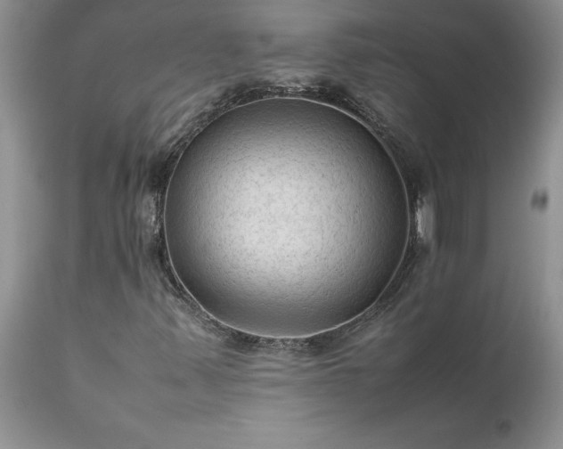 X0000111811347200907301223