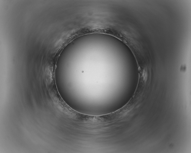 X0000111811348200907301223