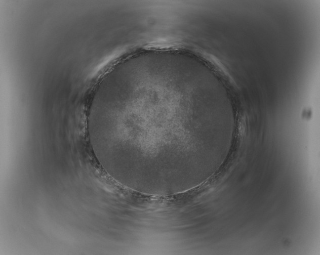 X0000111811350200907301223