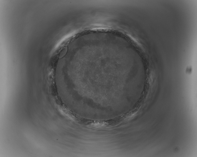 X0000111811351200907301223