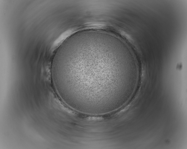 X0000111811354200907301223