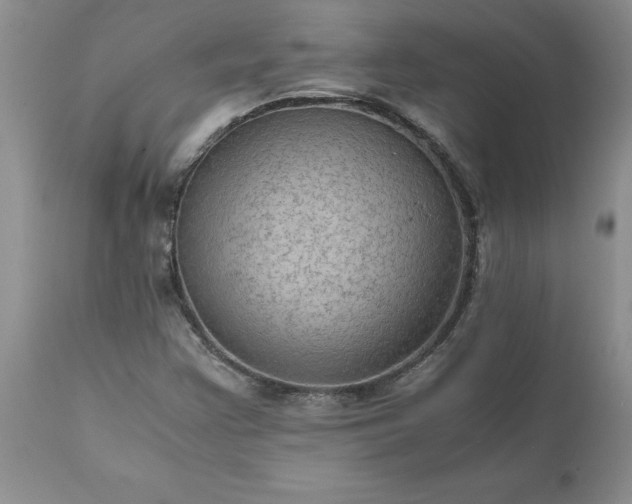 X0000111811355200907301223